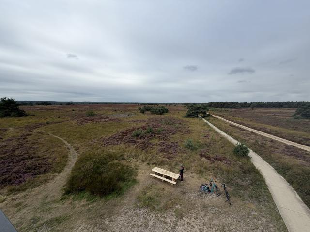 A large flat landscape with lots of purple heather and trees around it. There is a bench with a person and two e-bikes close to the front of the image. A cycle path goes into the distance.